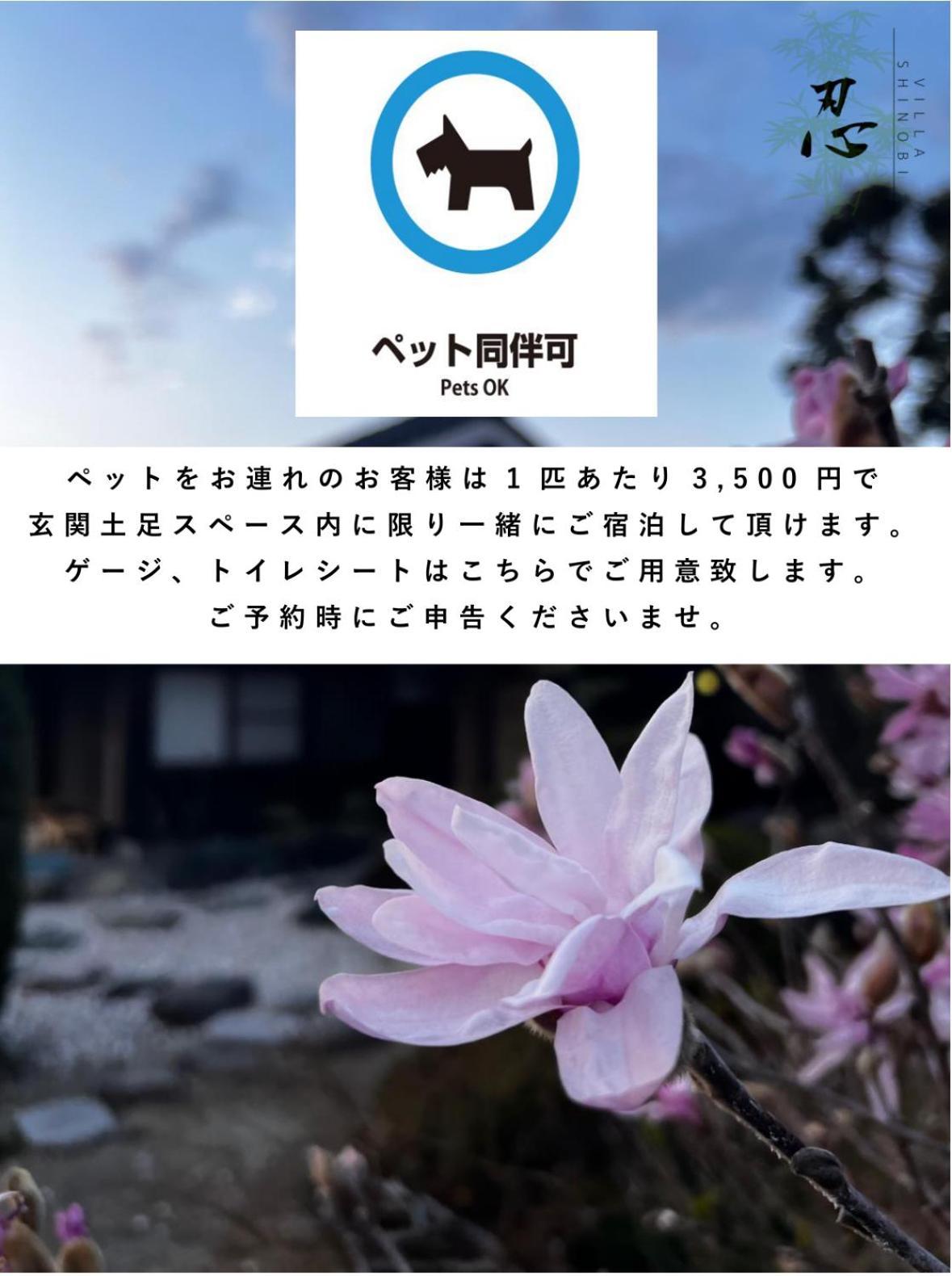 Villa Shinobi -忍- Hinase Екстер'єр фото