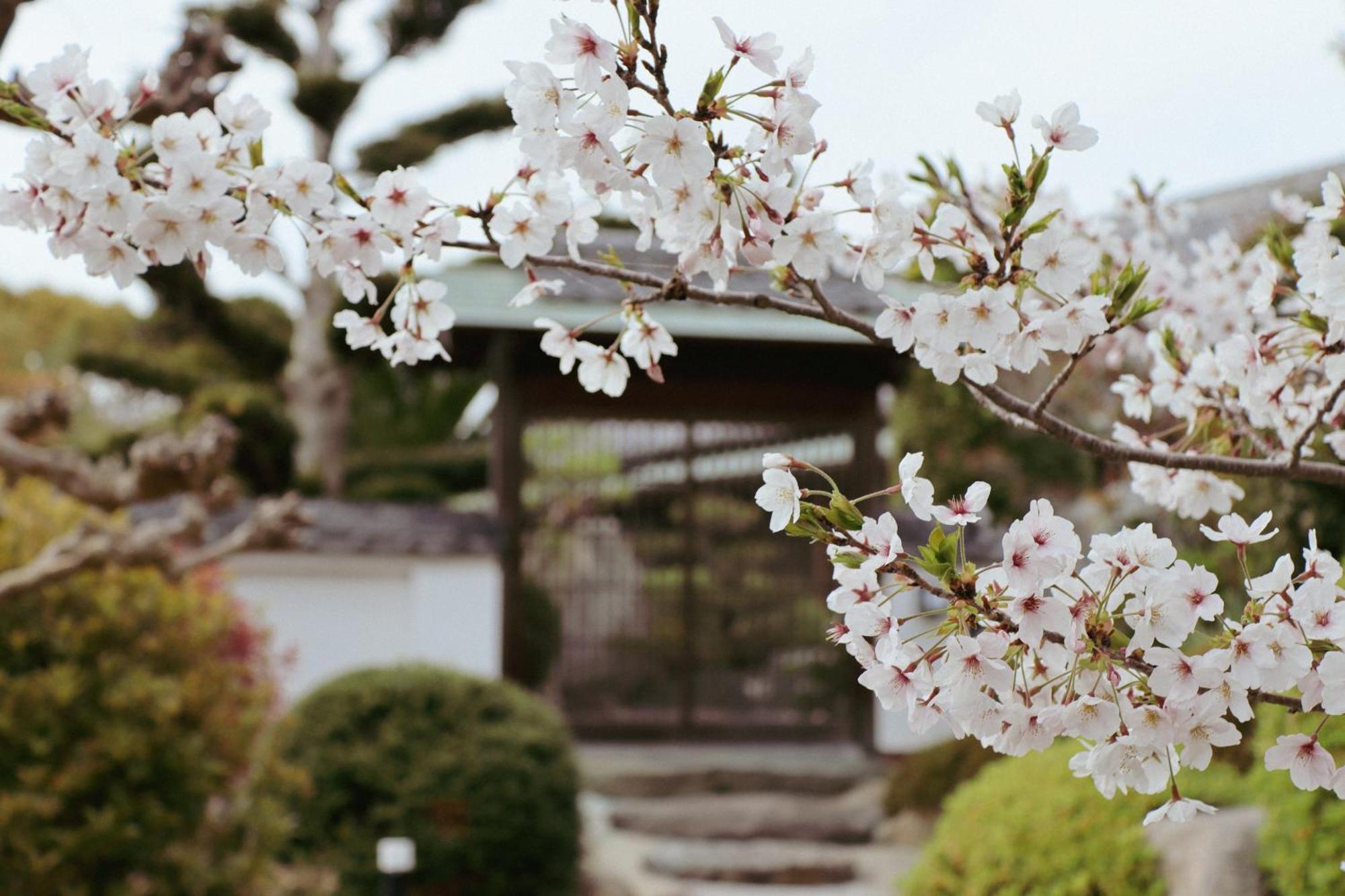 Villa Shinobi -忍- Hinase Екстер'єр фото